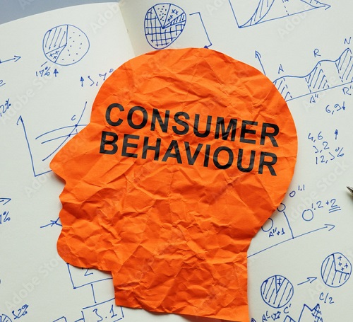 CLV Behaviour Analysis